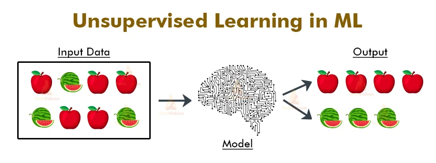 What is unsupervised learning